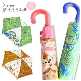 楽天市場 ディズニー 傘 大人の通販