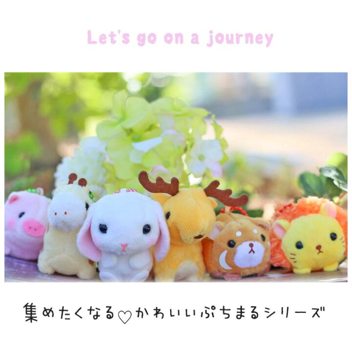 楽天市場 てのりぬいぐるみ かわいい 女の子 ぷちまる オールスター Dx ぬいぐるみ 動物 ストラップ 子供 てのり レッサーパンダ パンダ カピバラ ライオン アルパカ キリン ゾウ コアラ 小学生 キッズ 低学年 幼稚園 園児 女子 誕生日 プレゼント 子供会 贈り物 ギフト