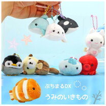 楽天市場】すみっコぐらし てのりぬいぐるみ 海の通販