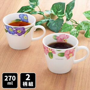 Z JPVA }OJbv 2g }O Rbv Jbv R[q[Jbv dqWΉ H@Ή ԕ GKg {  2 Zbg  g Β