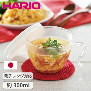 HARIO KX  W X[vJbv nI W dqWp dqWΉ X[v |gt   ϔMKX X[v{E W[Jbv