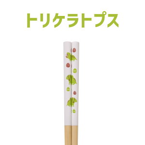 ዷh H@Ή WjA 19.5cm   ͂ qp ǂ ~߉H ٓ  eBmTEX gPgvX