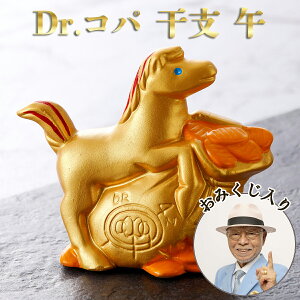 Dr.�R�p ���x �� ���^ ���� �J�^ �u�� �C���e���A ���֏��� �n ���� ���� �S�[���h ��