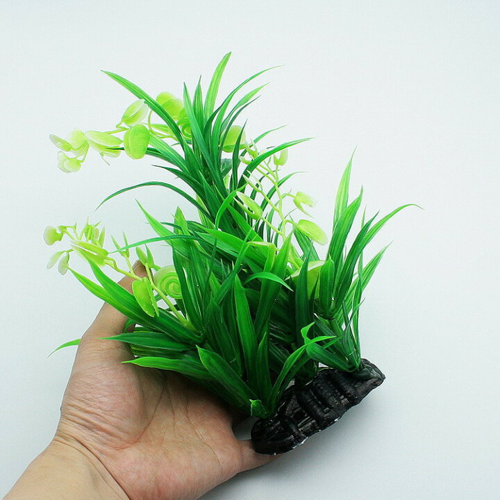 楽天市場 送料無料 人工水草 造花 グリーン 熱帯魚 メダカ 金魚 水槽レイアウト アクアリウムグッズ 水槽用品 レイアウト用品 装飾 ペット用品 Motto Motto