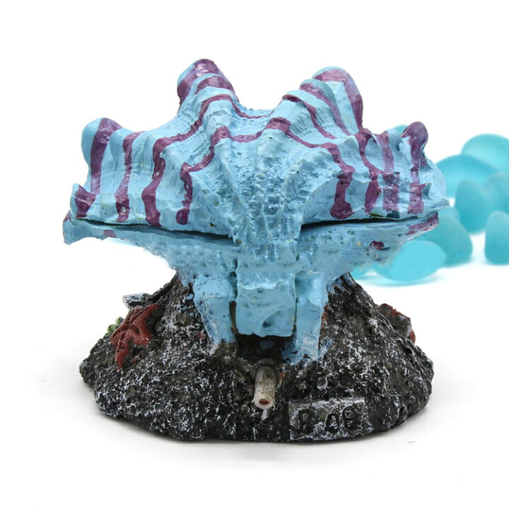 楽天市場 送料無料 アクアリウム用品 水槽用品 エアレーション用 エアーポンプ用 酸素ポンプ用 オブジェ 装飾 インテリア 真珠貝 貝 シェル ペット用品 ペットグッズ 熱帯魚 金魚 水生生物 Motto Motto