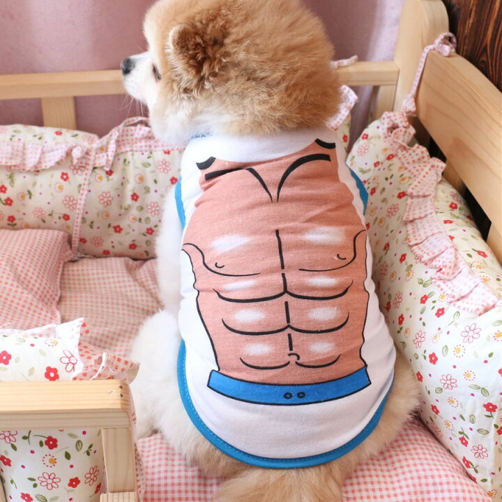 楽天市場 送料無料 ペット用 犬用 洋服 ドッグウエア タンクトップ プルオーバー ノースリーブ イラスト ユニーク 水着 マッスル 筋肉 面白い 面白イラスト バイピング ベスト 袖なし ドッグウェア かわいい おしゃれ 犬服 春夏秋 小型犬 中型犬 Xs S Motto Motto