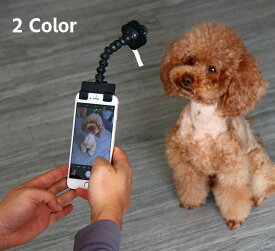 楽天市場 犬 目線 カメラの通販 楽天市場 犬 目線 カメラの通販