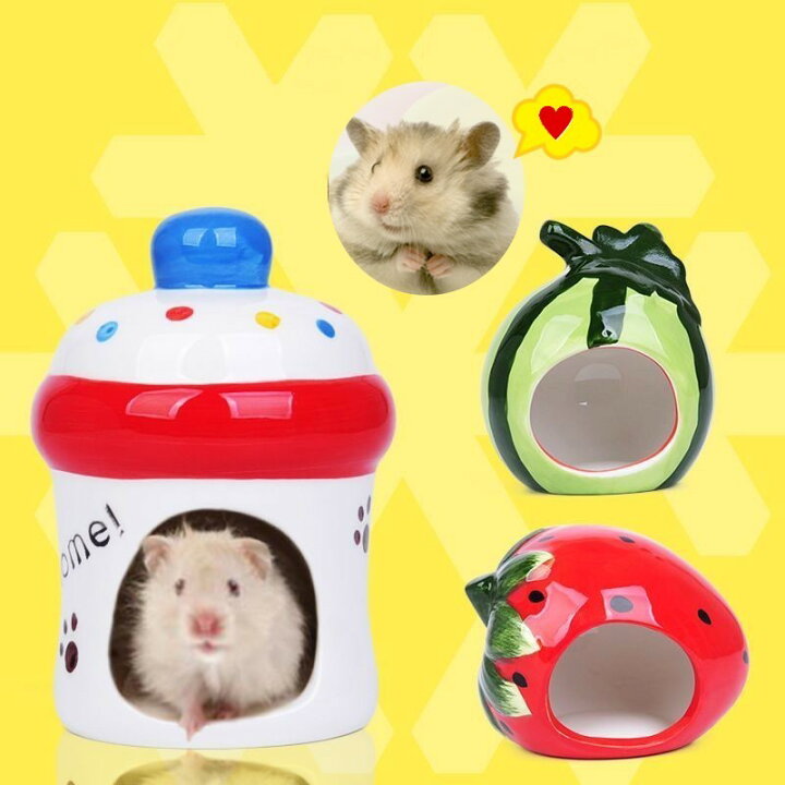 楽天市場 送料無料 小動物用ハウス ハムスターハウス 小屋 家 寝床 ベット ペット 小動物 イチゴ 哺乳瓶 スイカ かわいい Motto Motto 楽天市場 送料無料 小動物用ハウス ハムスターハウス 小屋 家 寝床 ベット ペット 小動物 イチゴ 哺乳瓶 スイカ かわいい Motto Motto