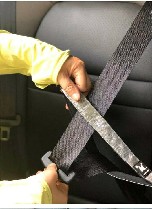 楽天市場】送料無料 ペット用品 リード ショート ドッグ 短い トレーニングタブ 車 フック ドライブ 旅行 飛び出し防止 お散歩 しつけ 犬 キャット 猫 39cm ブラック シルバー : motto-motto 楽天市場】送料無料 ペット用品 リード ショート ドッグ 短い トレーニングタブ 車 フック ドライブ 旅行 飛び出し防止 お散歩 しつけ 犬 キャット 猫 39cm ブラック シルバー : motto-motto