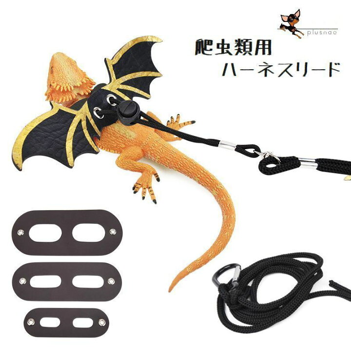 楽天市場 送料無料 ハーネス リード 爬虫類 トカゲ ドラゴンの羽 紐 調節可能 フェイクレザー ペット用品 お散歩 お出掛け 羽 悪魔の翼 ペットグッズ とかげ 散歩 Motto Motto