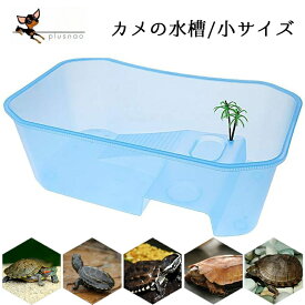 楽天市場 亀 甲羅干しの通販
