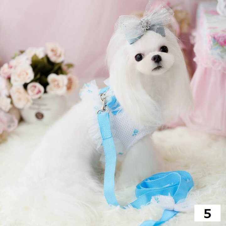 訳あり品送料無料 送料無料 ドッグウェア ペットウェア ベスト リード付き 犬の服 犬服 猫の服 猫服 洋服 ペット用品 小型犬 チョッキ ノースリーブ 袖なし ドット柄 チュールレース メッシュ リボン ラブリー お出かけ おしゃれ かわいい イヌ いぬ ネコ ねこ Abamedyc Com