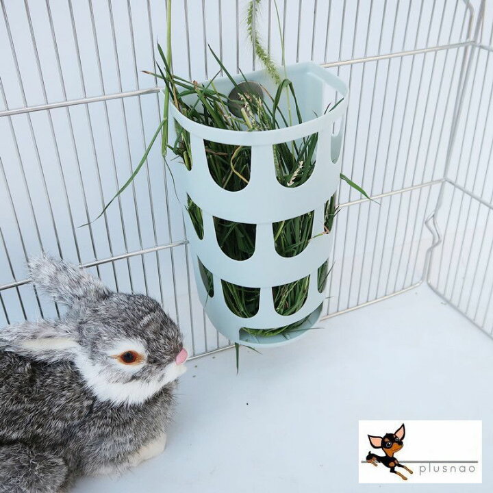 楽天市場 送料無料 小動物用食器 牧草フィーダー 牧草 牧草入れ うさぎ モルモット チンチラ フェレッド プラスチック 無地 シンプル 餌入れ Motto Motto