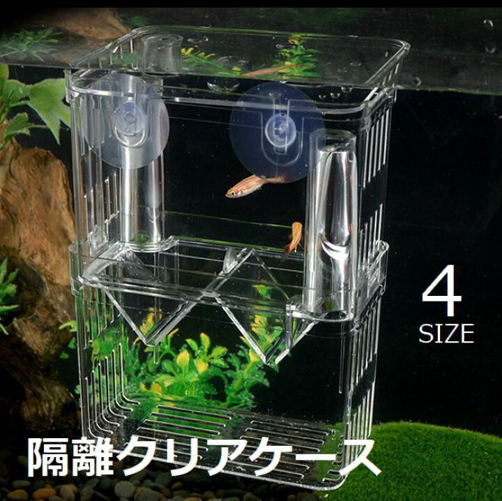 楽天市場 送料無料 産卵ケース 隔離ケース 繁殖隔離ボックス 水槽用隔離用品 飼育ボックス 育成ケース 吸盤 くっつく 熱帯魚 鑑賞魚 金魚 透明 クリア アクアリウム用品 ペットグッズ Motto Motto