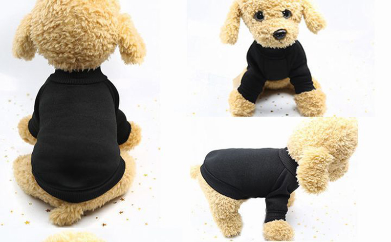 楽天市場】送料無料 ドッグウェア セーター ニットトップス 超小型犬 
