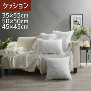  NbV sDz ȓ  CeAG lp XNGA 50×50cm 45×45cm ` 35×55cm p^ ĝ Vv s rWlX