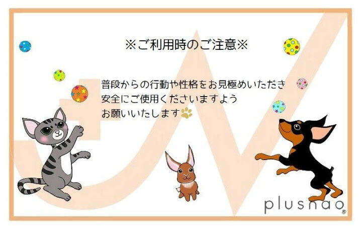 公式通販 個数限定 Lacistitis Es