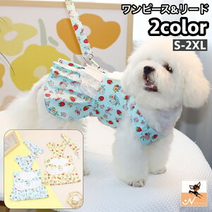  ybgEFA s[X [ht 2_Zbg hbOEFA  m DJt Ȃ Vg̉H [X t  t[ ̕ 킢 