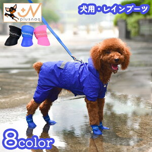  p Cu[c CV[Y Ck  hbO ^ ybgpi C  h ʃt@Xi[ VR ~ Jp