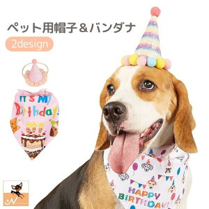  ybgpXq ybgpXJ[t 2_Zbg p Lp a o[Xf[ Birthday nbg X^C ʐ^Be j RXv 킢