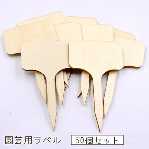  |px 50Zbg ؐ T^ Ap^O O^O }[J[ t[J[h Ԓd A ƒ؉  K[f  l[^O   킢 