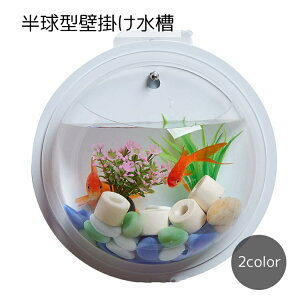  Ǌ| CeA ybgpi ^ NA zCg Vv ANAE   Mы