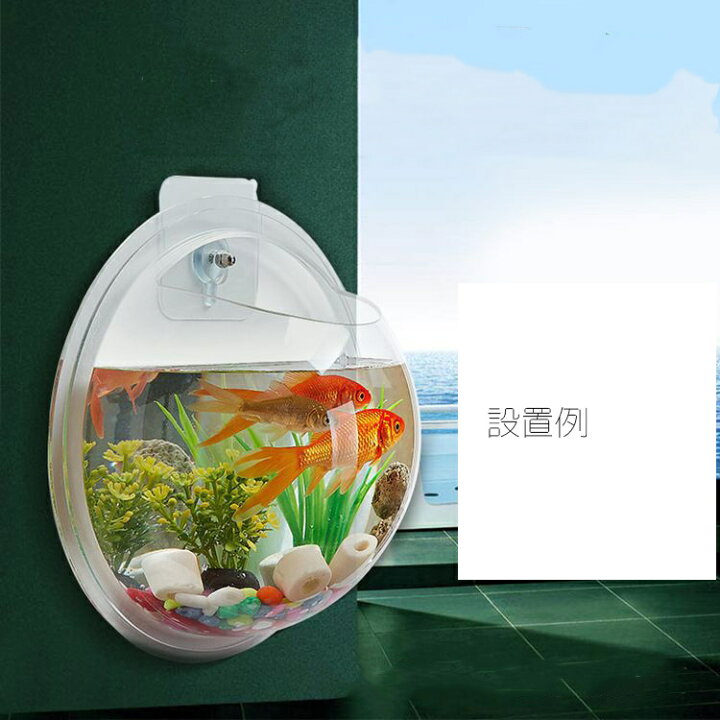 楽天市場】送料無料 壁掛け水槽 インテリア ペット用品 半球型 クリア 