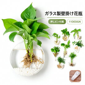 送料無料 壁掛け花瓶 花瓶 ガラス 吊り下げ 壁掛け 植木鉢 円形 花形 三角形 フラワーベース 一輪挿し 水耕栽培 個性的 おしゃれ インテリア 涼しげ