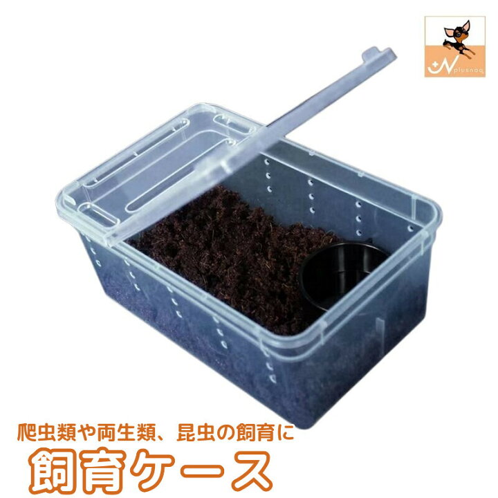 楽天市場】送料無料 飼育ケース 飼育ケージ 爬虫類用 両生類用 クリア 