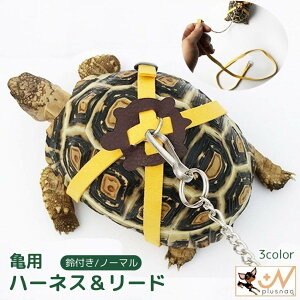  Tpn[lX [h 2_Zbg ybgpi [V [v Ђ t U o TCY\ J  ঒ 