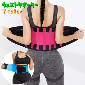  EFXgpT|[^[ Ճxg T|[^[ 傫TCY xg RZbg jp X|[c  玙 ͎d JoLx