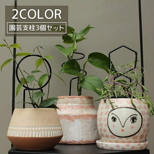  |x 3Zbg x Ax Ԏx t[X^h  Ԃ ϗtA 28cm T|[g |  킢 _ CeA A