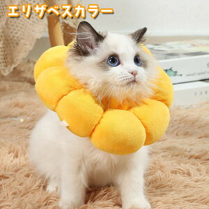  GUxXJ[ ybgpi pi Lpi ybgObY NbV _炩 \tg p rߖh~ ی  t[ hbO Lbg  킢