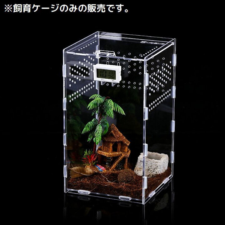 楽天市場】送料無料 飼育ケージ 飼育ケース 爬虫類 両生類 昆虫 小動物 