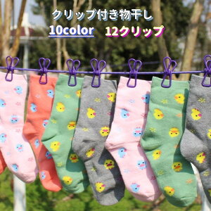  Nbvt  pi G pi Nbv s` ΂ 12s` i[ h e   JoLx s Lv