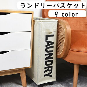  h[oXPbg [{bNX ܂肽ݎ LX^[t h[ pi 󂩂 󕨓 lp XNGA p S 
