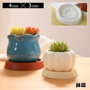  M AؔgC Aؔ v[g 󂯎M  v^[X^h ԑ K[fjO ϗtA   ی^ ~` Eh