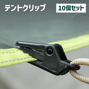  egNbv ^[vNbv 10Zbg Lvpi AEghA ŒpObv egŒ O j h ΍ RpNg ^ ֗