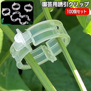 送料無料 園芸用クリップ 誘引クリップ 100個入り 直径3cm ワンタッチクリップ 園芸用品 支柱用部品 支柱用アクセサリー ガーデニング 家庭菜園 農業用 野菜 つる 接ぎ木