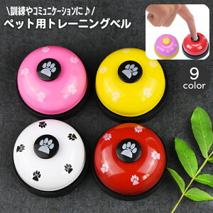  ybgg[jOx ybgpi R[x Ăї pi } P R~jP[V   킢 Jt hbO  Ck hbO