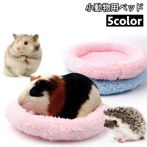  ybgxbh p ^ybgp ~^ ی^ h[ic^ nX^[ bg X K NbV zc Q Q  ӂӂ 킢 CeA ybgpi