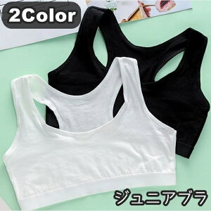  WjAu n[tgbv qp WjA LbY ̎q q w K[Y Ci[     w ʋC z X|[cu uW[ n PF Vv 