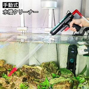  N[i[ ||v 蓮 N[i[|v |v  |  | t| | XN[p[ uV ANAEpi pi 