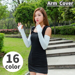  A[Jo[ fB[X Y jp O rp ew O΍ Ă΍ n AEghA X|[c hCu