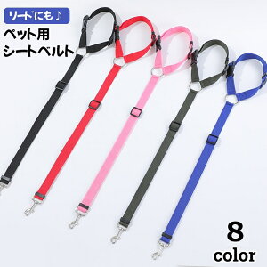  ybgpV[gxg [h 2way ybgpi wbhXg 㕔 ԗp hCu AEghA  hbO R [V iXJ o s tbN  J[pi