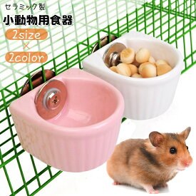 送料無料 小動物用食器 ケージ用 取り付け セラミック製 エサ入れ 餌やり 水入れ フードボウル ウォーターボウル ハムスター チンチラ ペット用品 給水 給餌 固定 ピンク かわいい