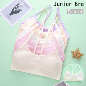  WjAu t@[Xgu uW[ n[tgbvu pbht WjA LbY w w ̎q Ci[   pbht n pXeJ[ 킢