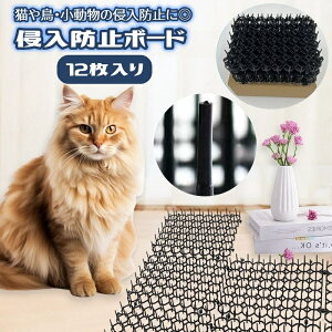  Nh~{[h 12 L   h hb Qb K[fjO DIY ΍{[h }bg V[g Nh~ h~ L ǔL ǔL΍ x_    