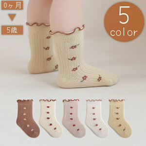  C N[\bNX xr[ LbY Ԃ q ̎q j̎q  N[ Et ԕ Lk Vv 킢