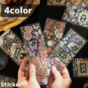  V[ XebJ[ 3Zbg [ \t   o^tC t[ CXg 킢 fR[V